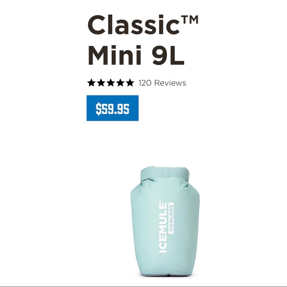 Classic Mini 9L Cooler - Light Aqua